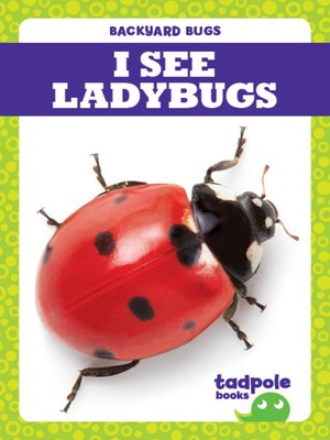 cover image of I See Ladybugs